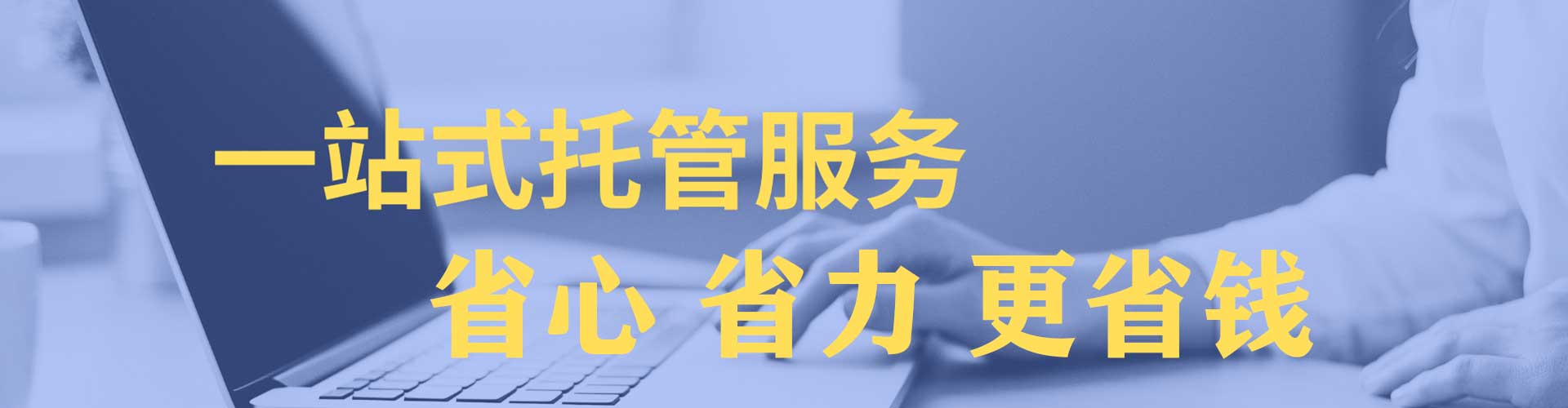 平南竞价托管